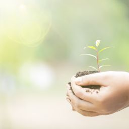 Ufficio Ecologia Ambiente Tari