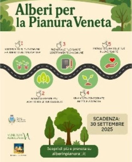 Alberi per la Pianura Veneta Alberi per la Pianura Veneta