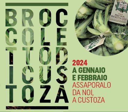 Broccoletto di Custoza 2024
