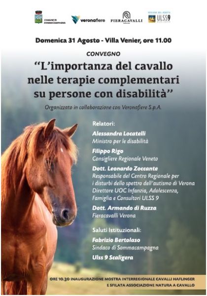 Convegno in Villa Venier