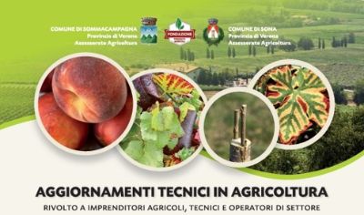 Immagine volantino convegni aggiornamenti tecnici