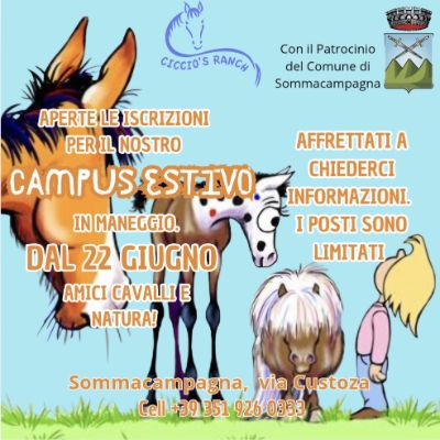 Campus estivo Ciccio's Ranch