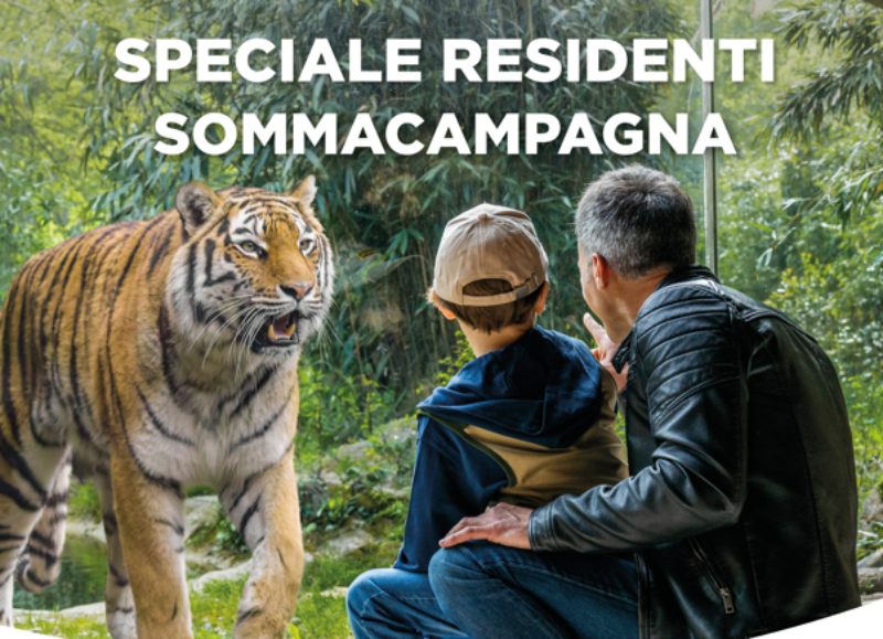 Immagine zoo