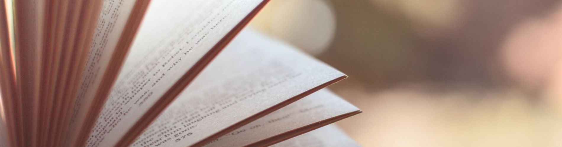 Ufficio Biblioteca