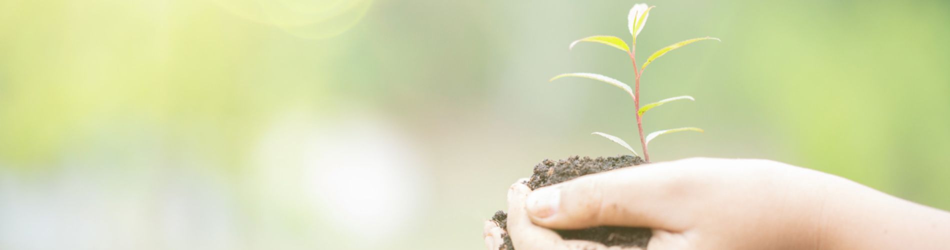 Ufficio Ecologia Ambiente Tari