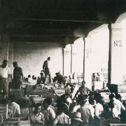 526. MERCATO DELLE PESCHE_1950