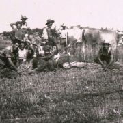 431. LA MIETITURA_1951