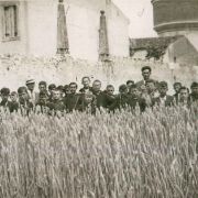 477. ORTI DI GUERRA MIETITURA