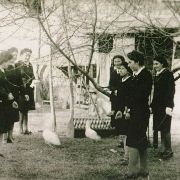 483. CORSO DI POLLICOLTURA_1940_GIOVANI FASCISTA