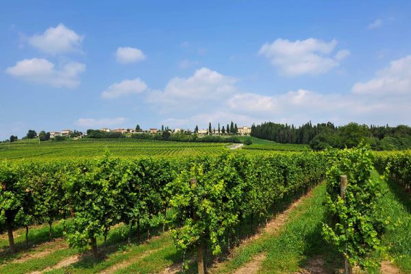 custoza-da-villafranca