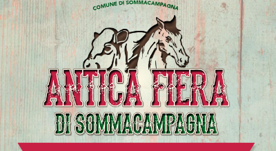 Immagine Antica Fiera 2025