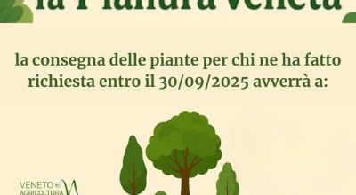 Immagine Alberi per la Pianura Veneta