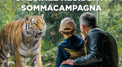 Immagine zoo Immagine zoo