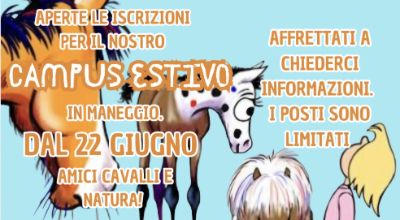 Campus estivo Ciccio's Ranch